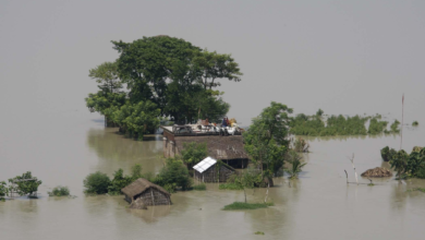 Photo of UP Bihar Flood 2026: गंगा का जलस्तर बढ़ने से यूपी-बिहार में बाढ़ का खतरा, कई इलाकों में बढ़ी चिंता